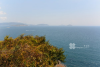 闲居海棠沙滩度假村的实拍图片