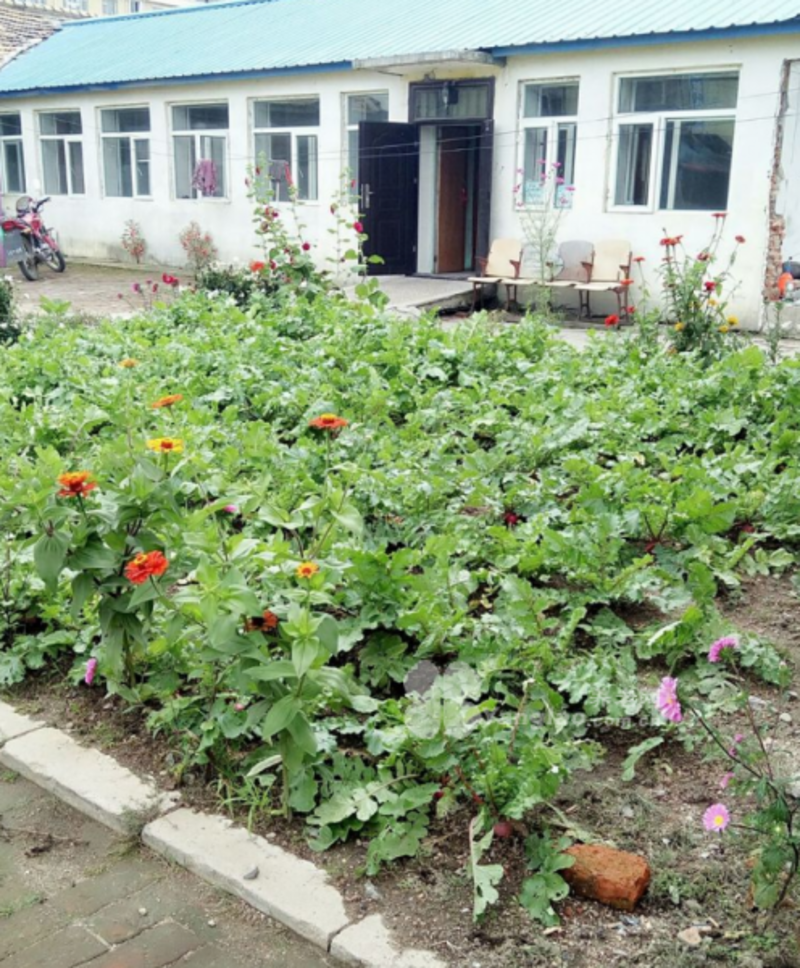 舒兰市平安镇托老院的实拍图片