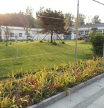 院落景观