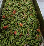 餐食